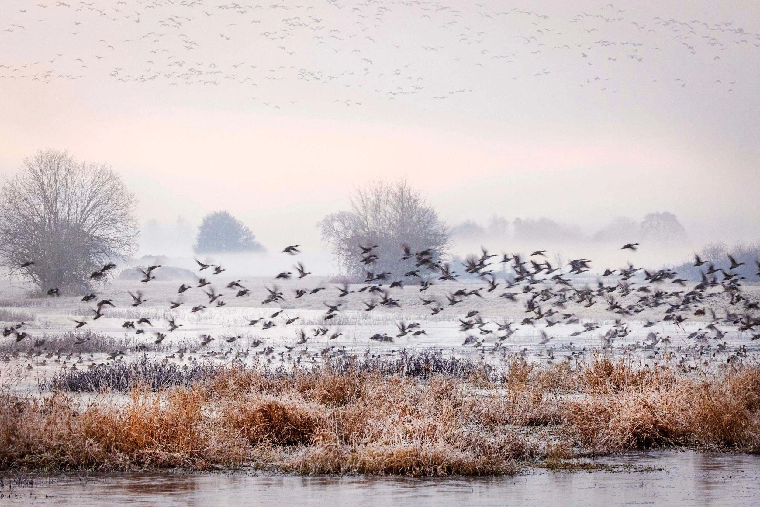 TNC_PC2023_2c78993e9570b829210fd0743d133392-original_JPG (1).Jpg