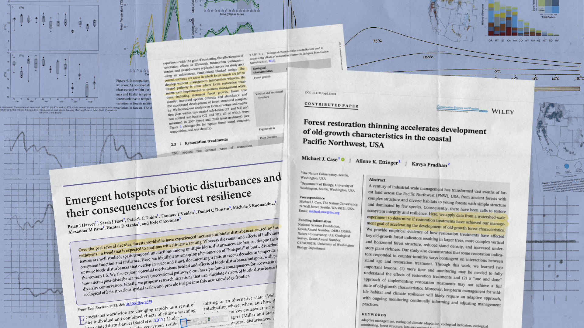 Scientific Waves: Reflections and Forward Movement