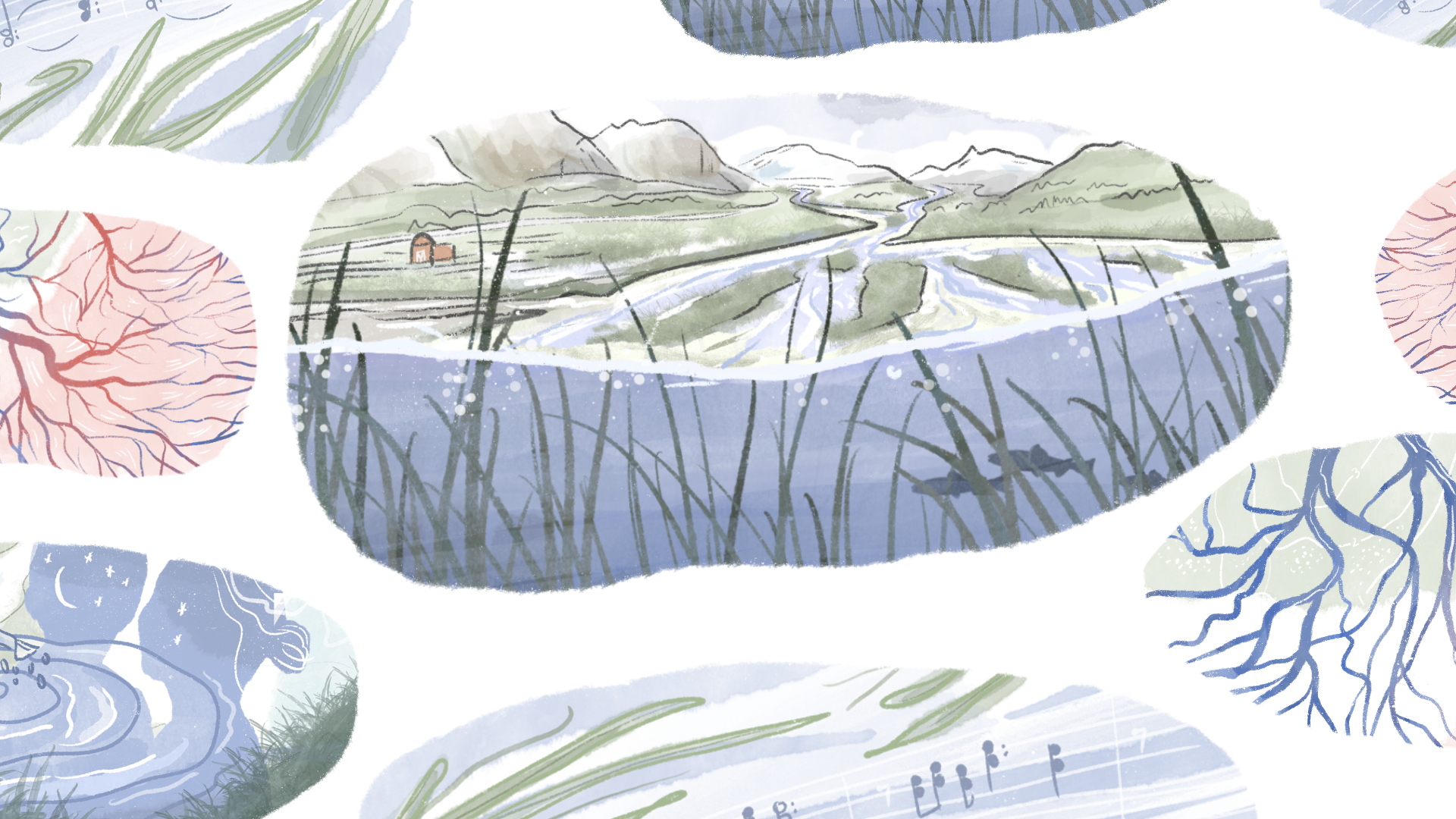 Water Connects Us All: Lessons from the Marshy Middle