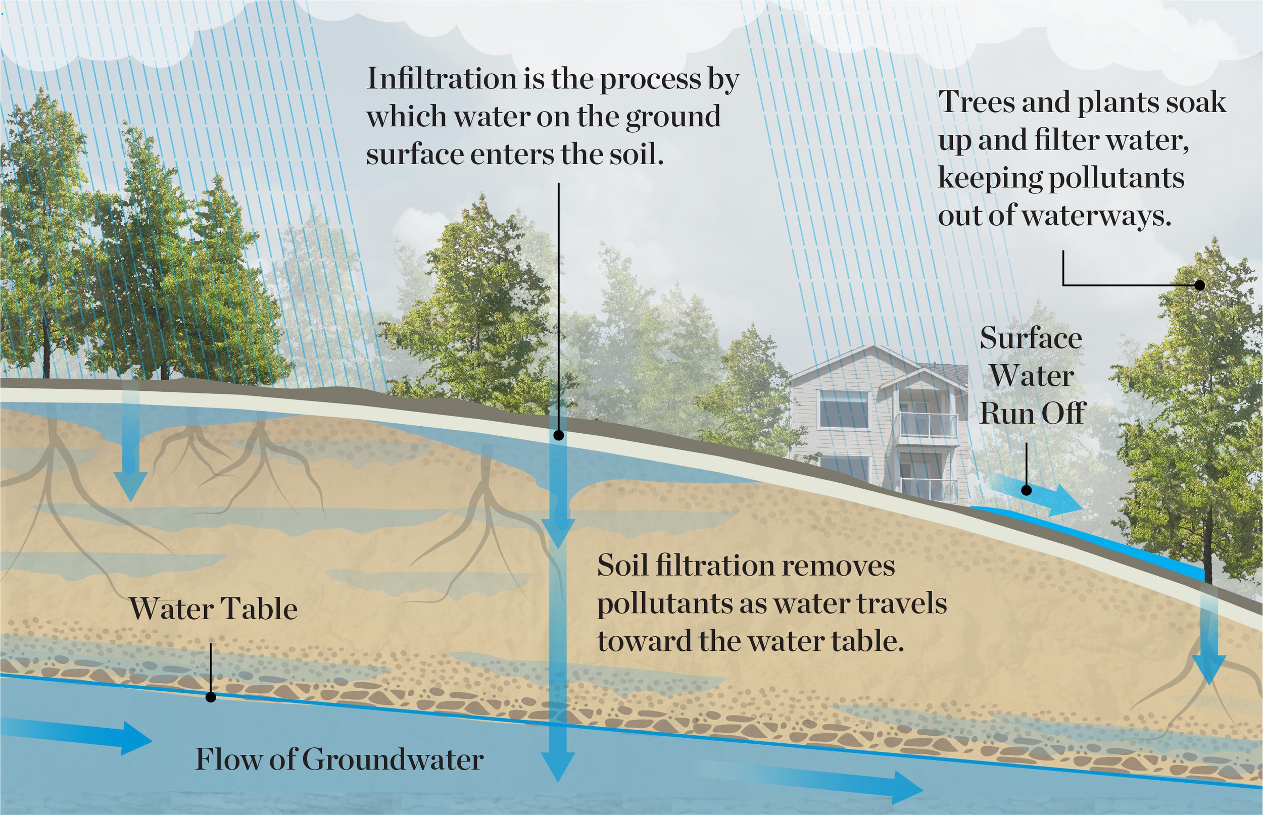Two-minute takeaway: What is Infiltration? — The Nature