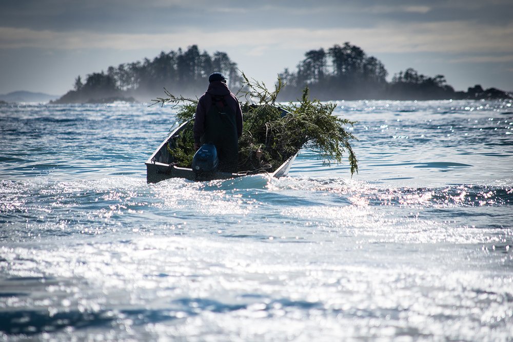 boat carrying vegetation with a person onboard