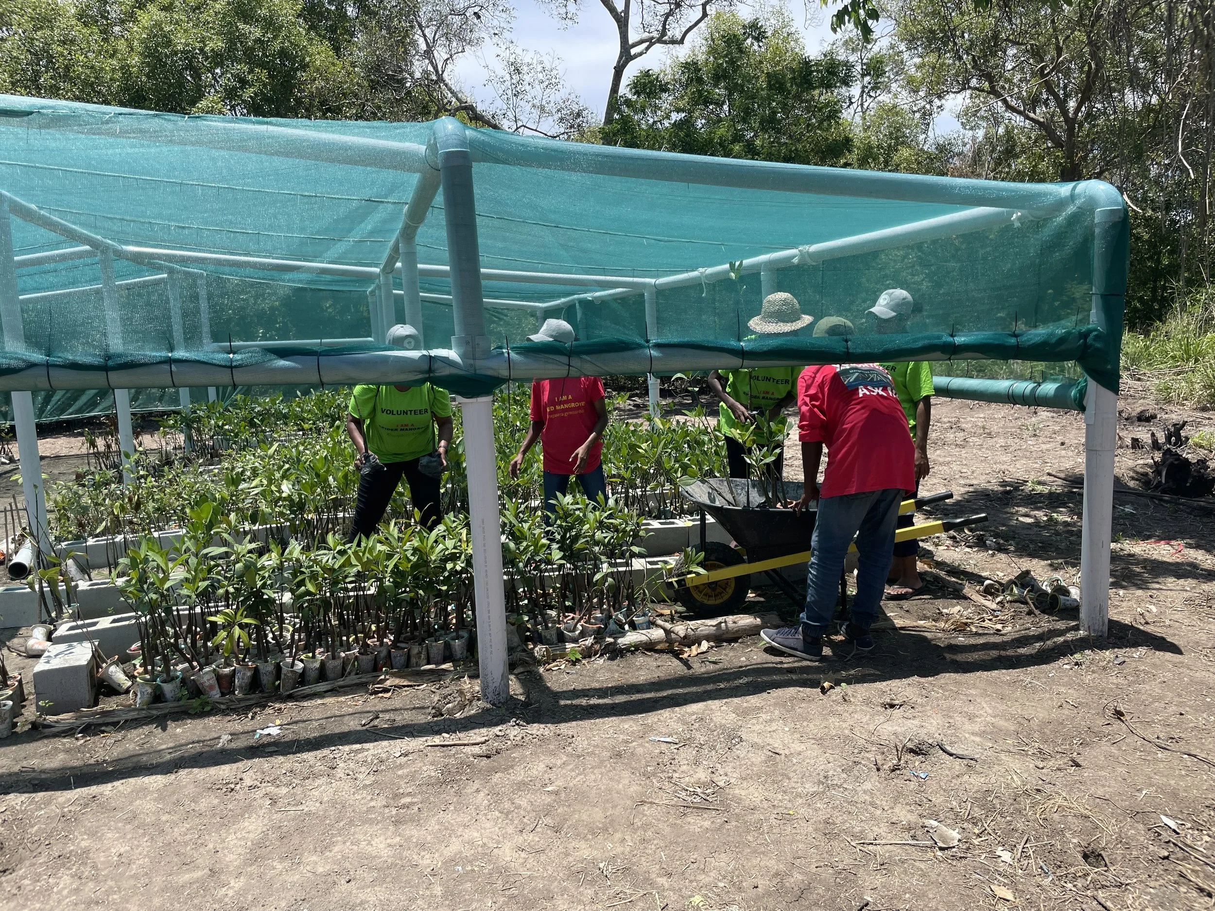 A Fellowship for Nature-Based Solutions to Climate Change — The Nature