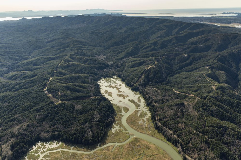 Una foto aérea que muestra la Reserva Ellsworth Creek de TNC desde arriba.  Es una reserva de 8,000 acres que contiene árboles maduros y áreas saludables para el salmón.