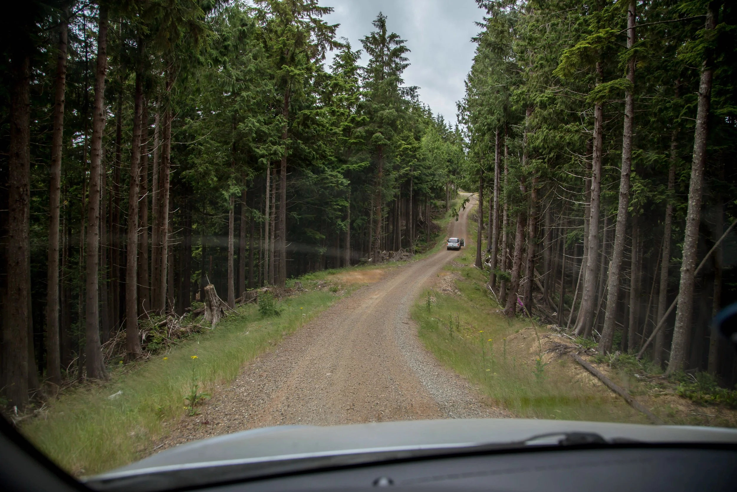 Drone Saw aids in Drought Research — The Nature Conservancy in Washington