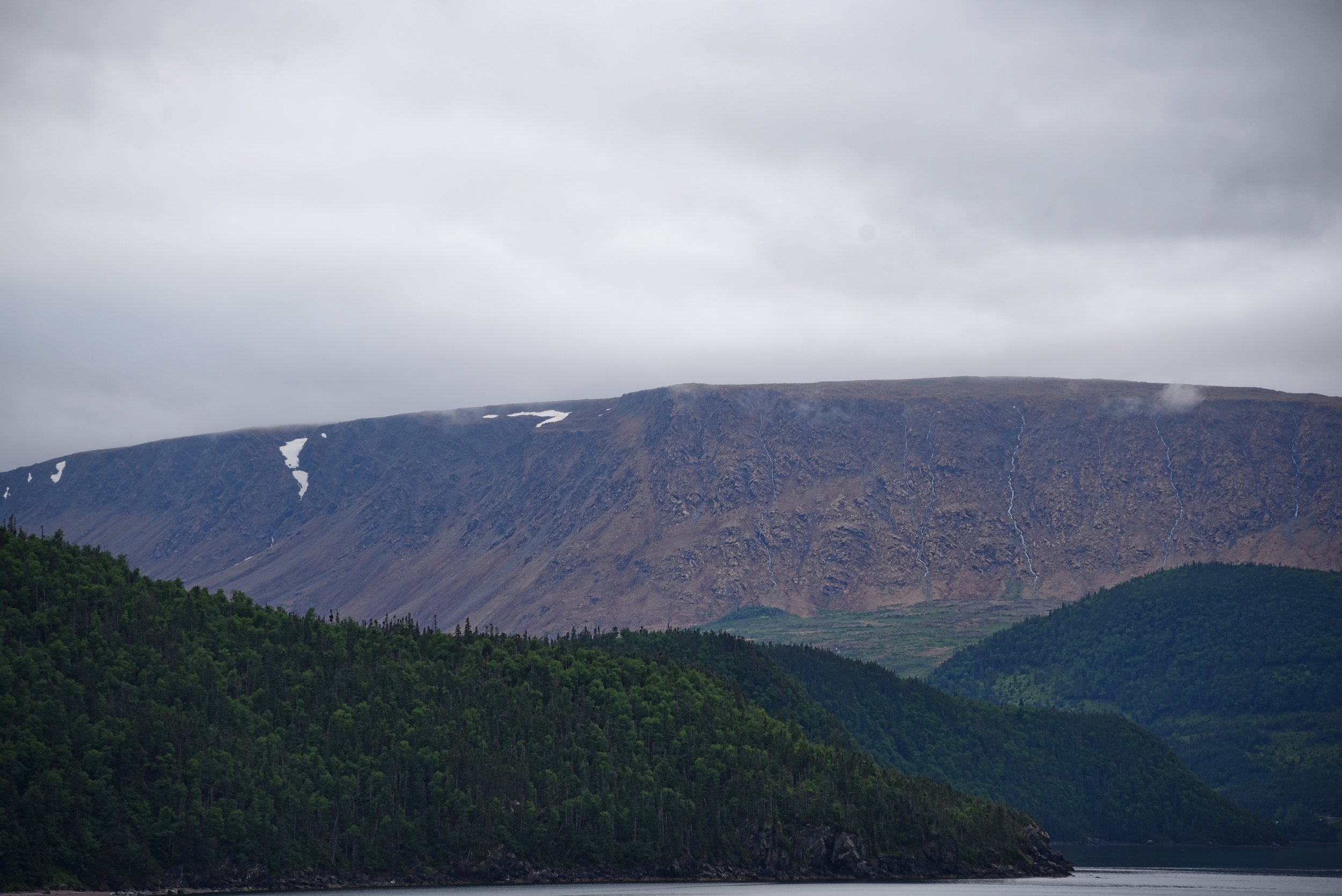 The earth's mantle only surfaces a few place on earth, in Newfoundland it huge!