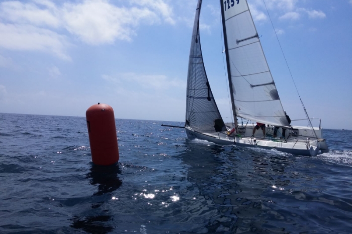 Lliga Primavera (regates socials) - 2016