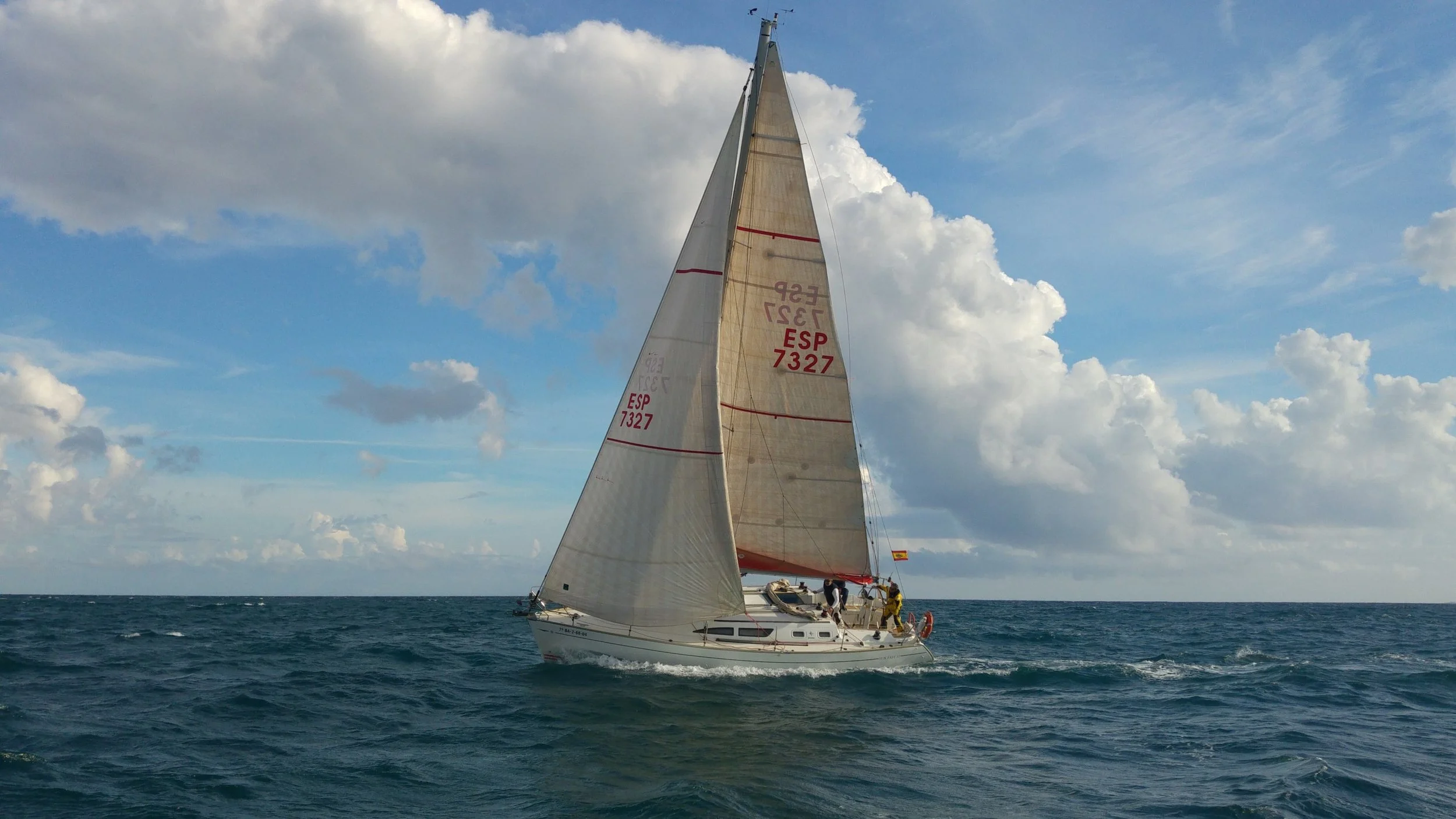 20161127_133509 [50%].jpg