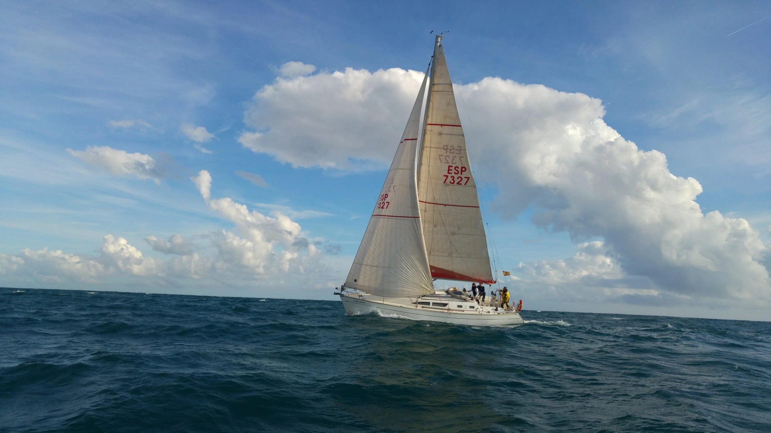 20161127_133511 [50%].jpg