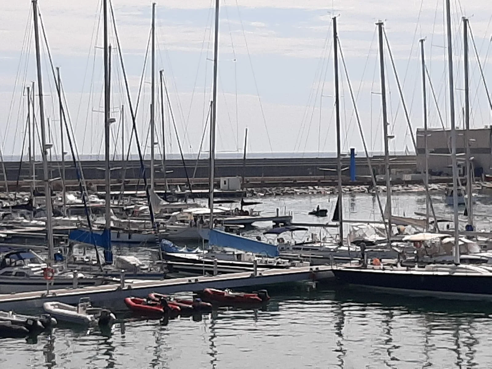 WhatsApp Image 2020-11-10 at 12.52.55 (1).jpeg