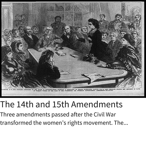 14th and 15th Amendment.jpg