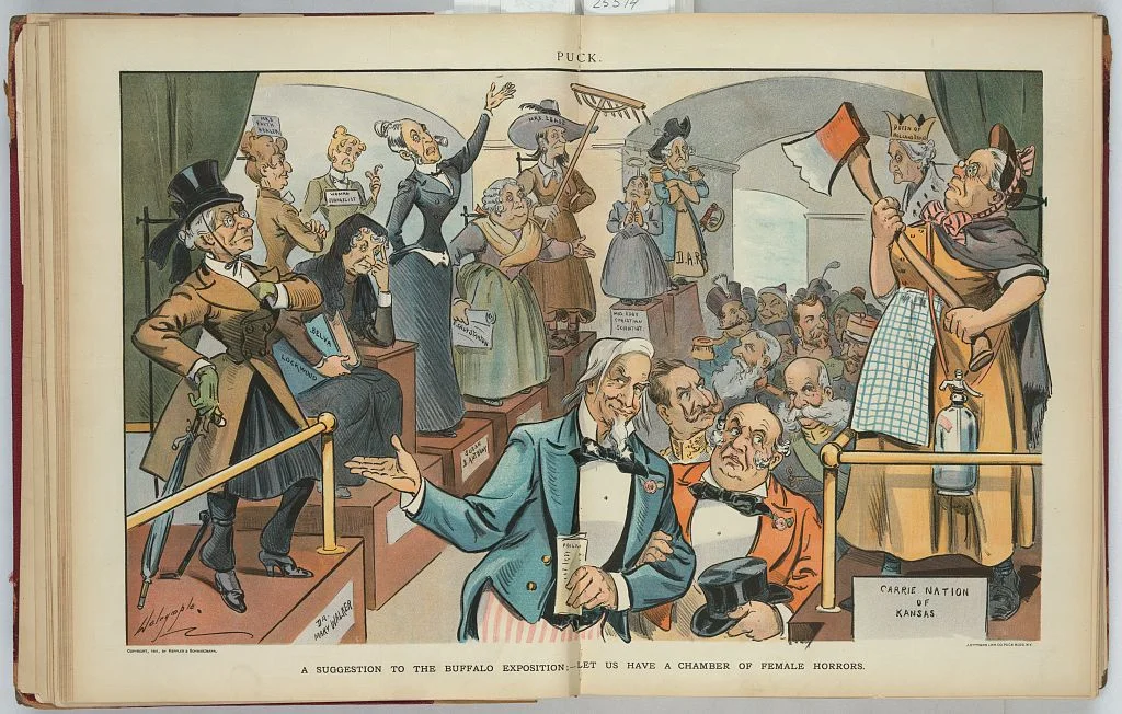 A suggestion to the Buffalo Exposition; - Let us have a chamber of female horrors