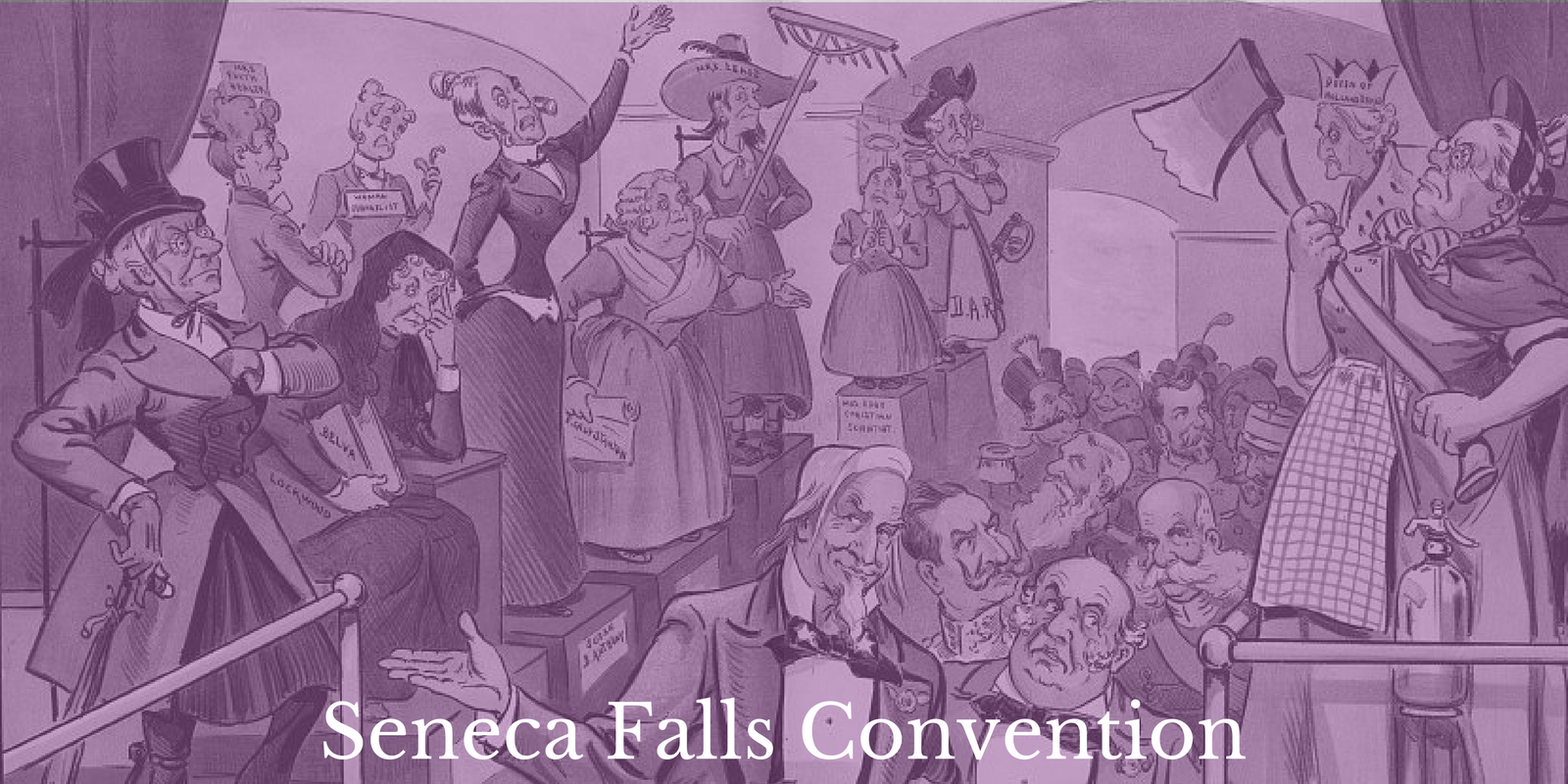 Lesson Plan-Seneca Falls Convention