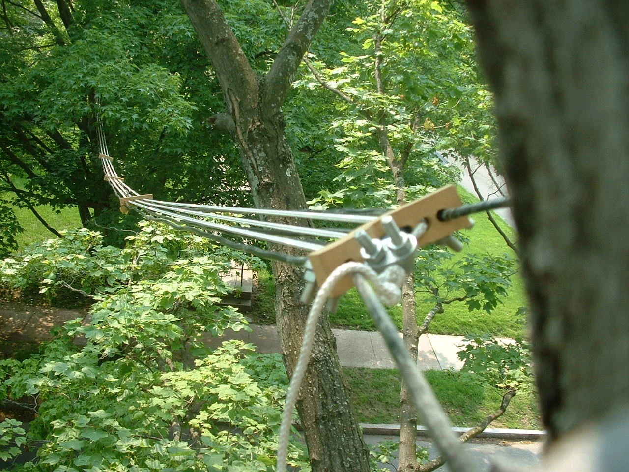 squirrelbridge_b.jpg