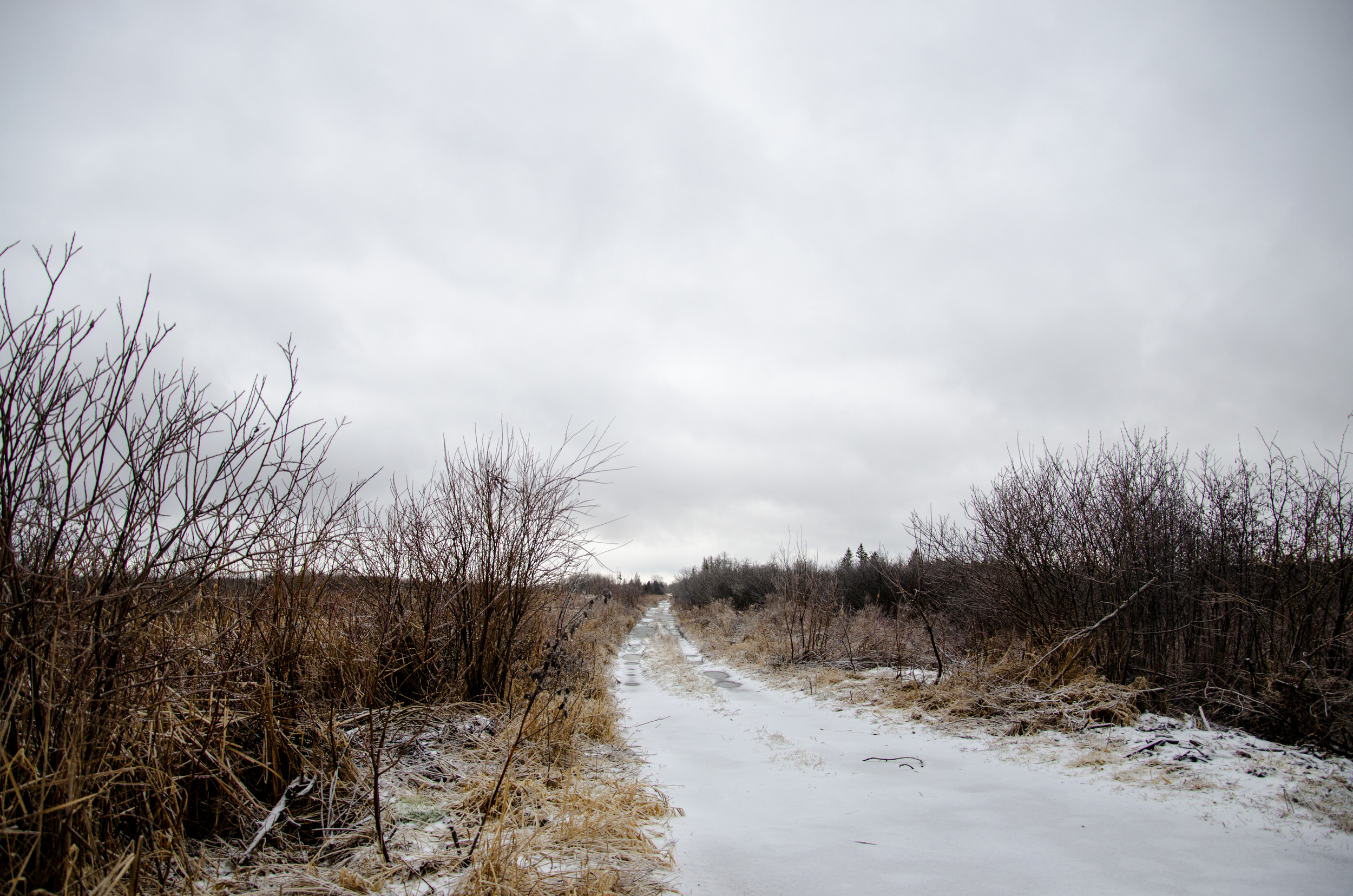 Jenkins, Cheyenne. Balaclava. 2016. Digital Photography. Balaclava, Ontario