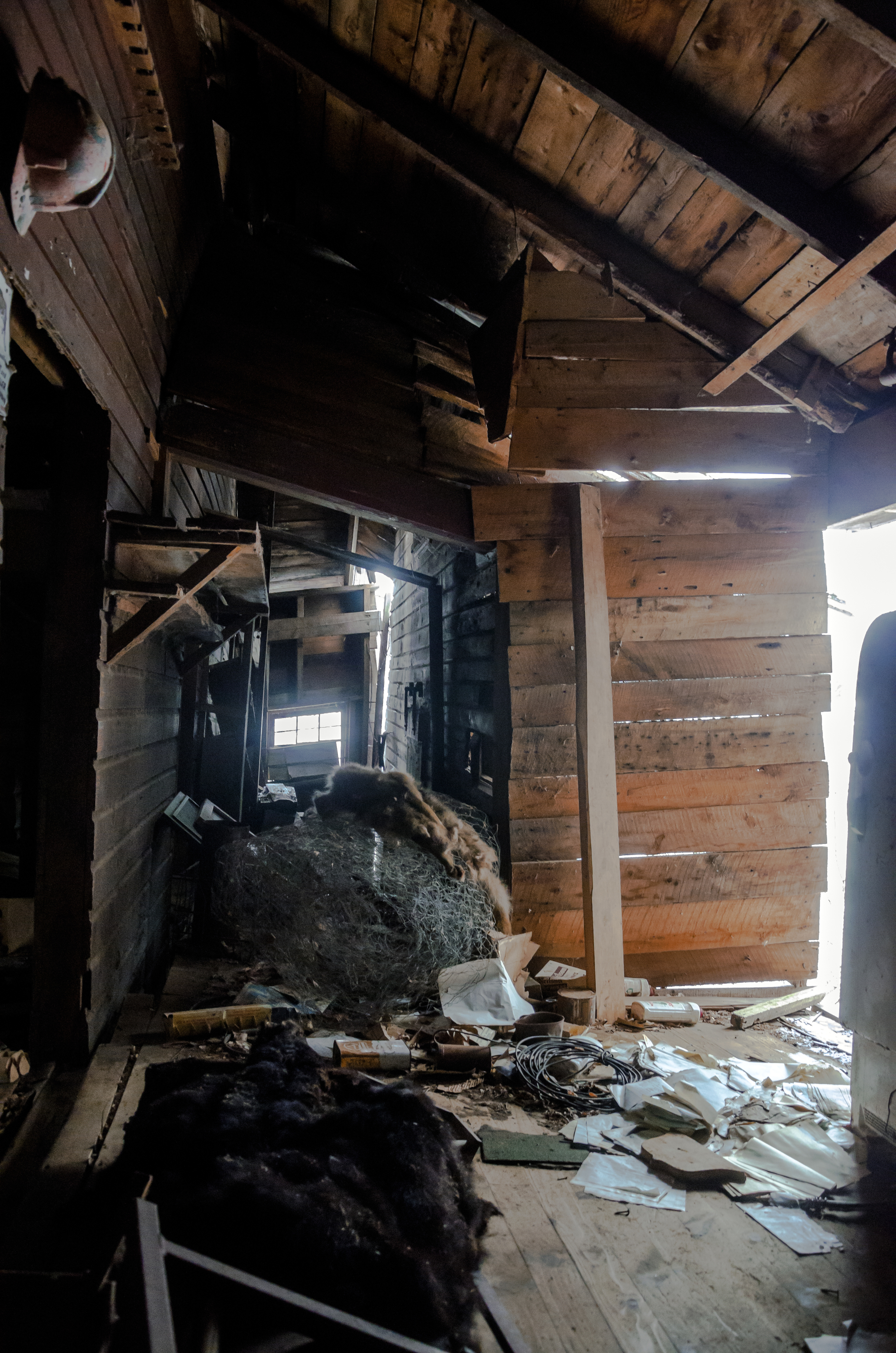 Jenkins, Cheyenne. General Store. 2016. Digital Photography. Balaclava, Ontario