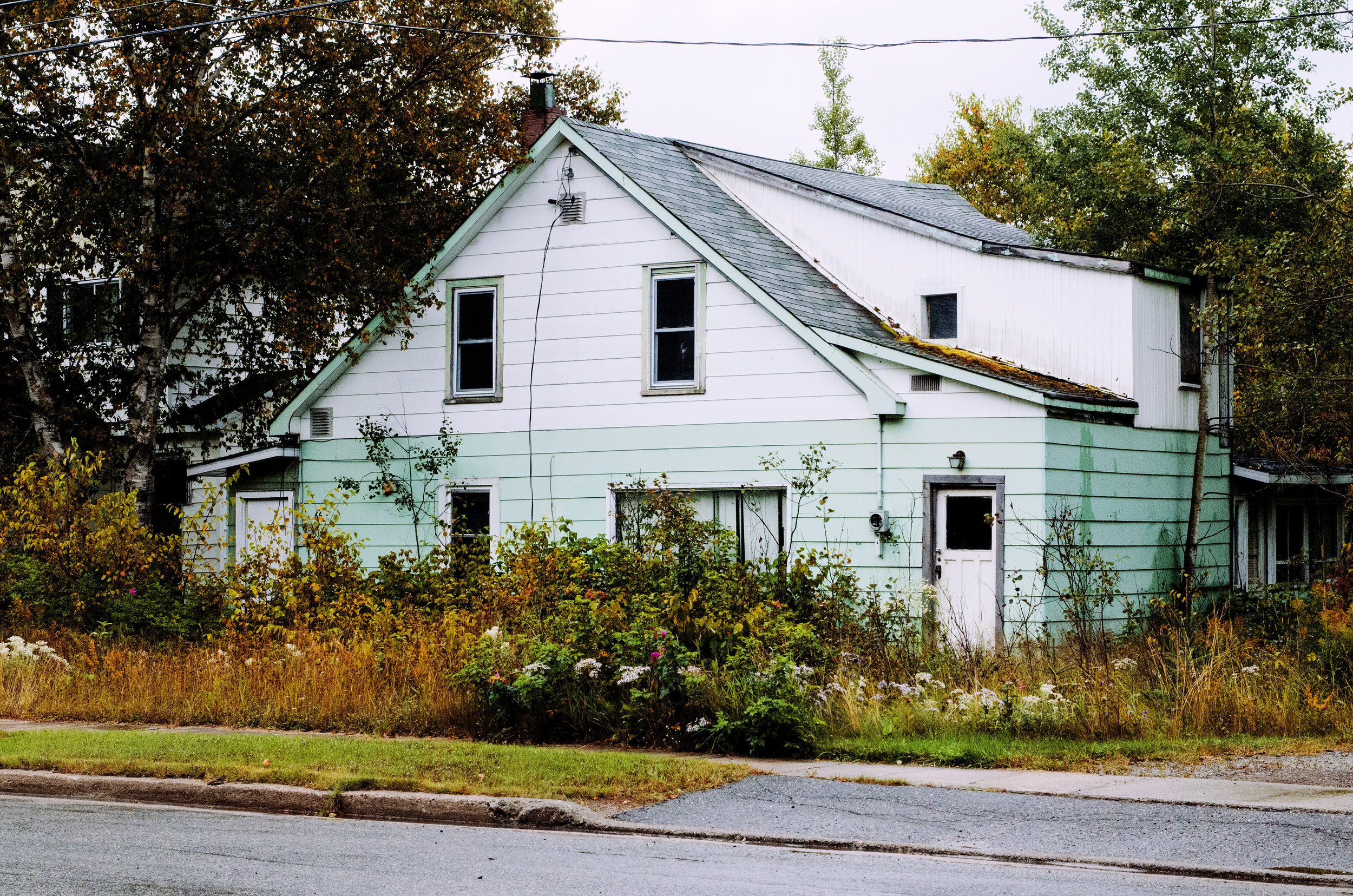   Jenkins, Cheyenne. Mint House. 2017. Digital Photography. Wawa, Ontario    