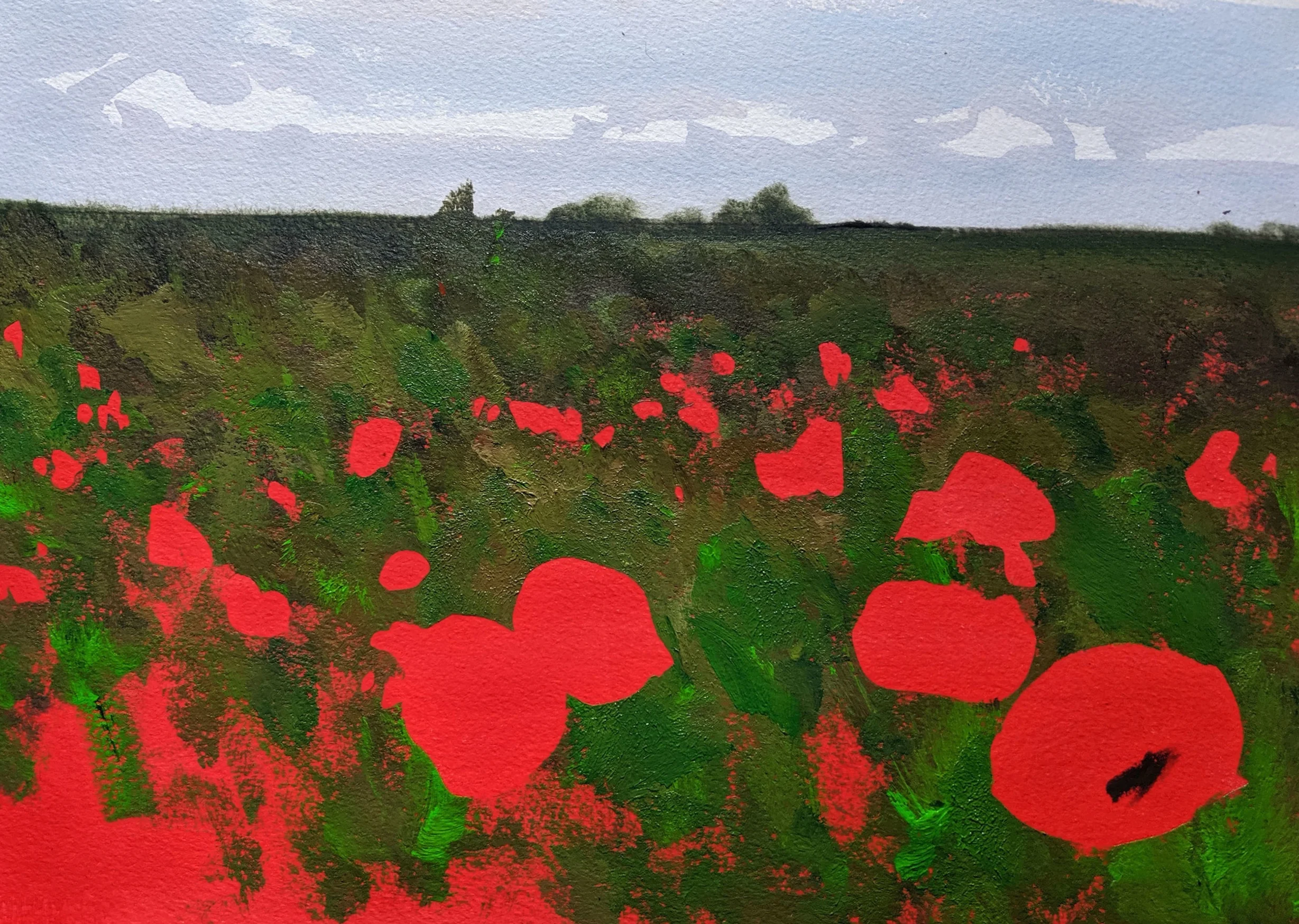 Poppies 4.jpg