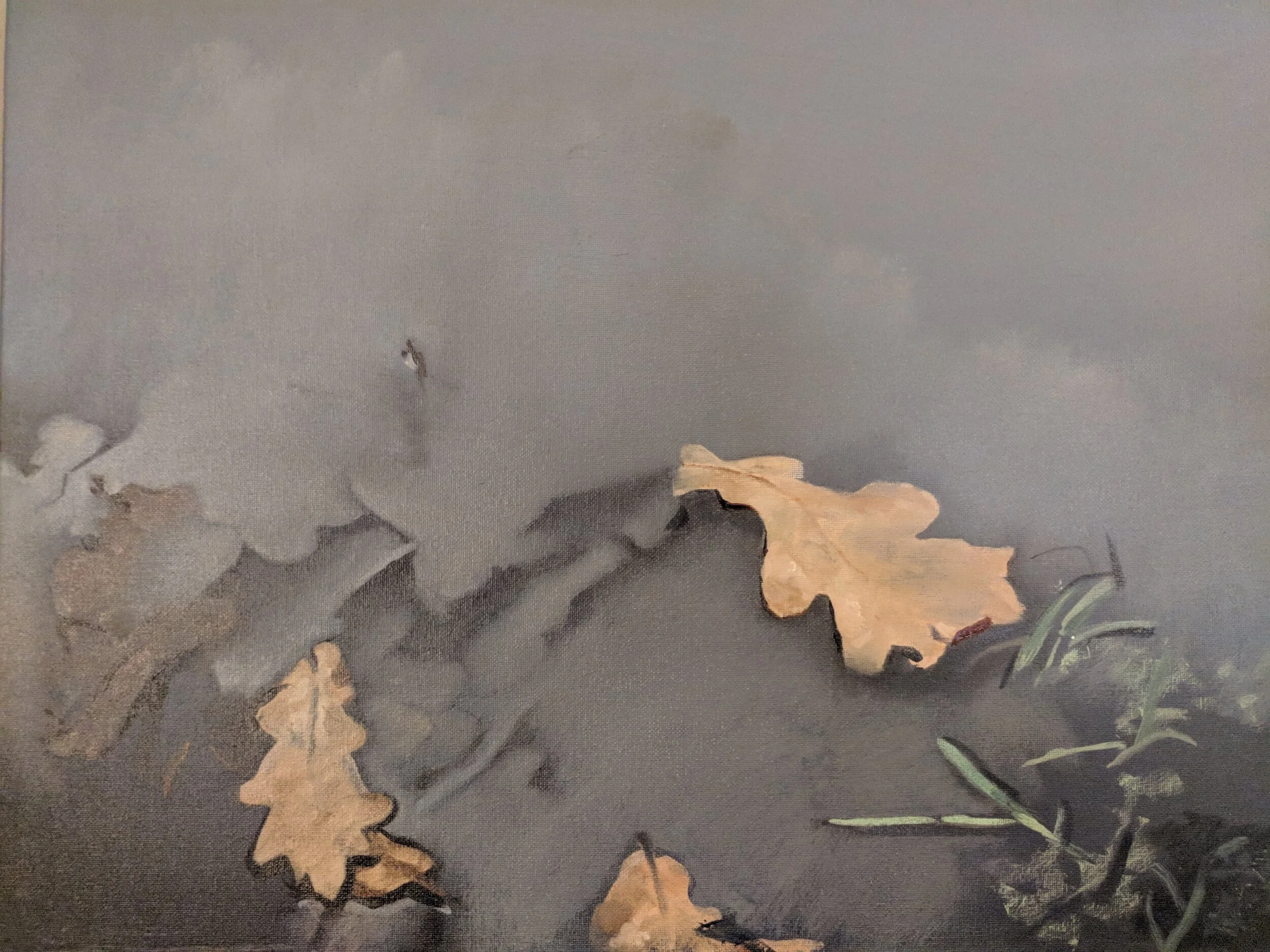 puddle.jpg