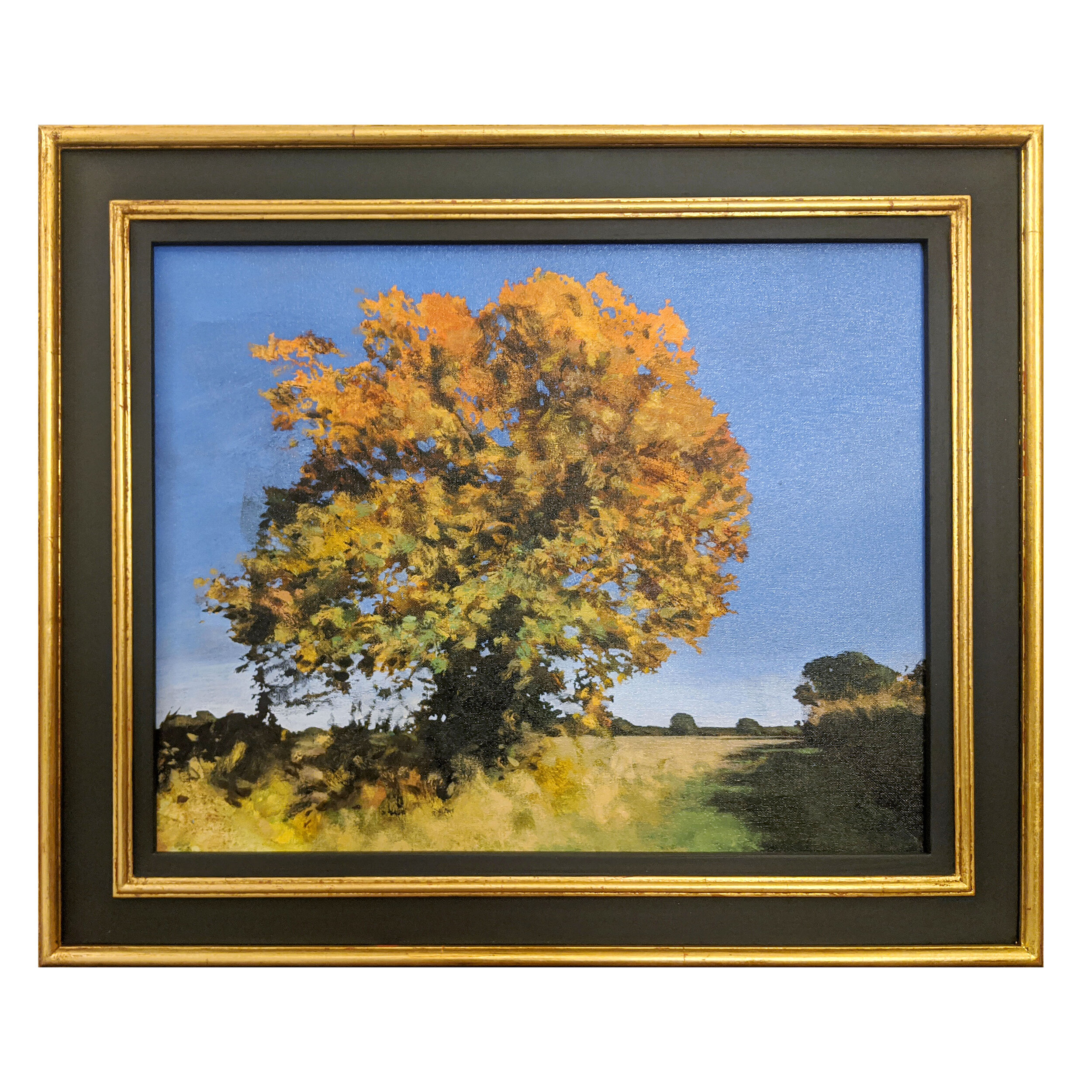 Oak on Snake Lane - framed.jpg