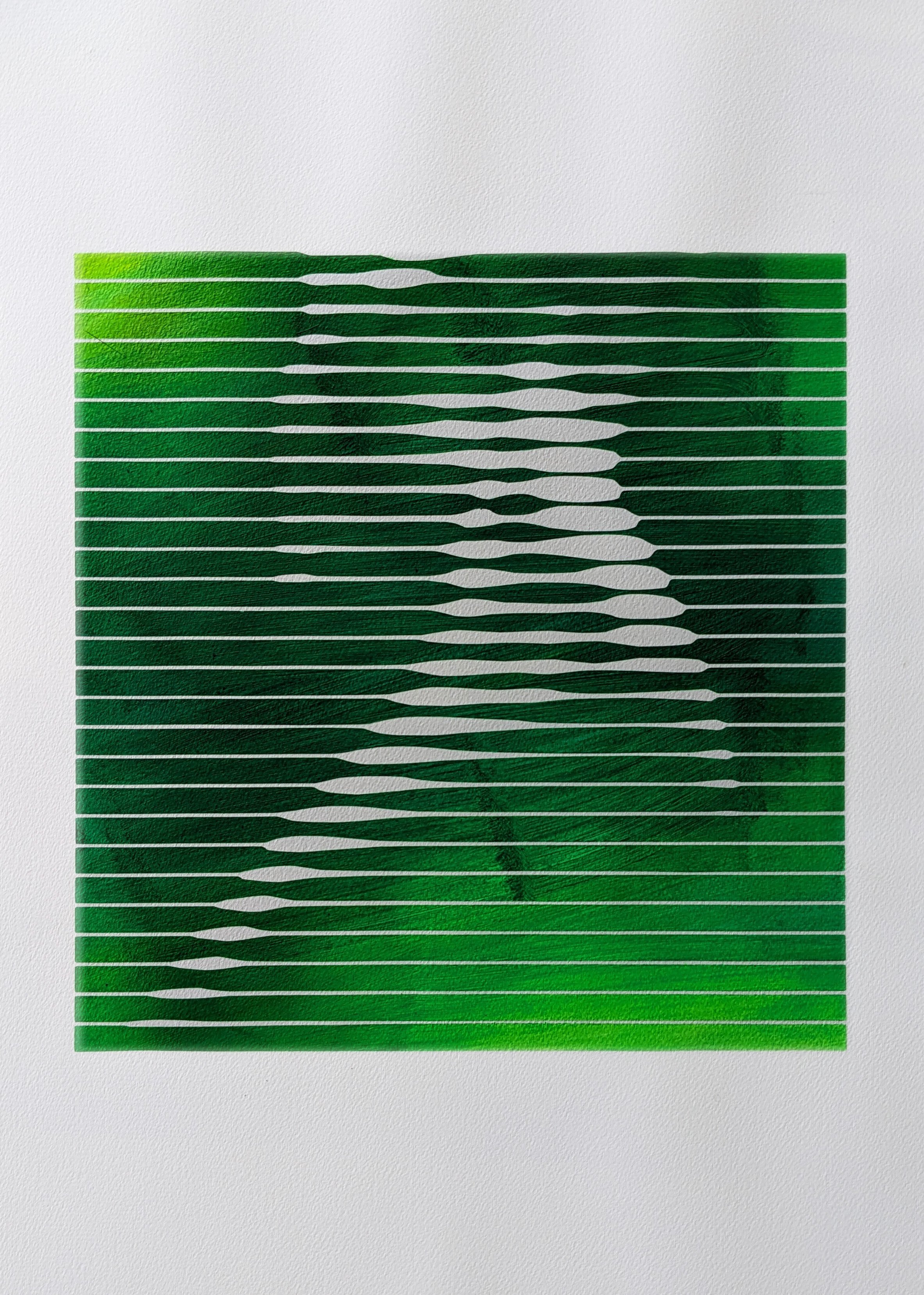 Interference figure study