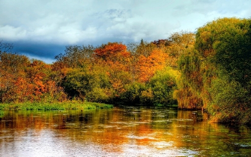 River Itchen in autumn, in Hampshire in the south of England.