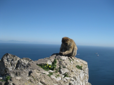 Sureness of place: Africa on the horizon from atop Gibraltar.