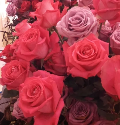Or just plain pink.