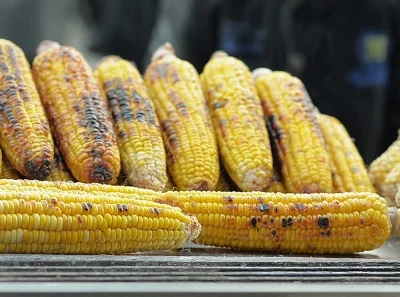 Burnished gold of roasted corn.