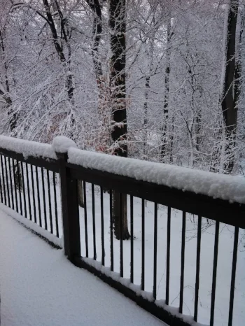 snow.jpg
