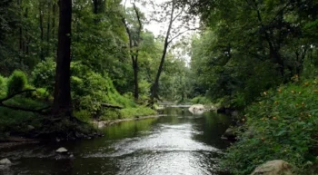 Ridley Creek.jpg
