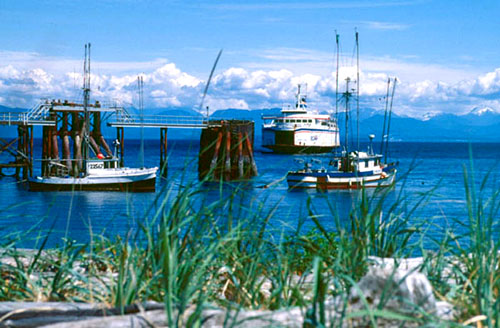 Powell River Ferry.jpg