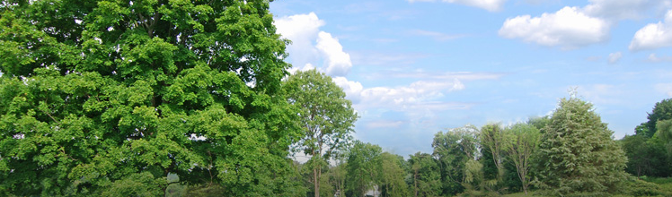 20160503_banner_land_development.PNG