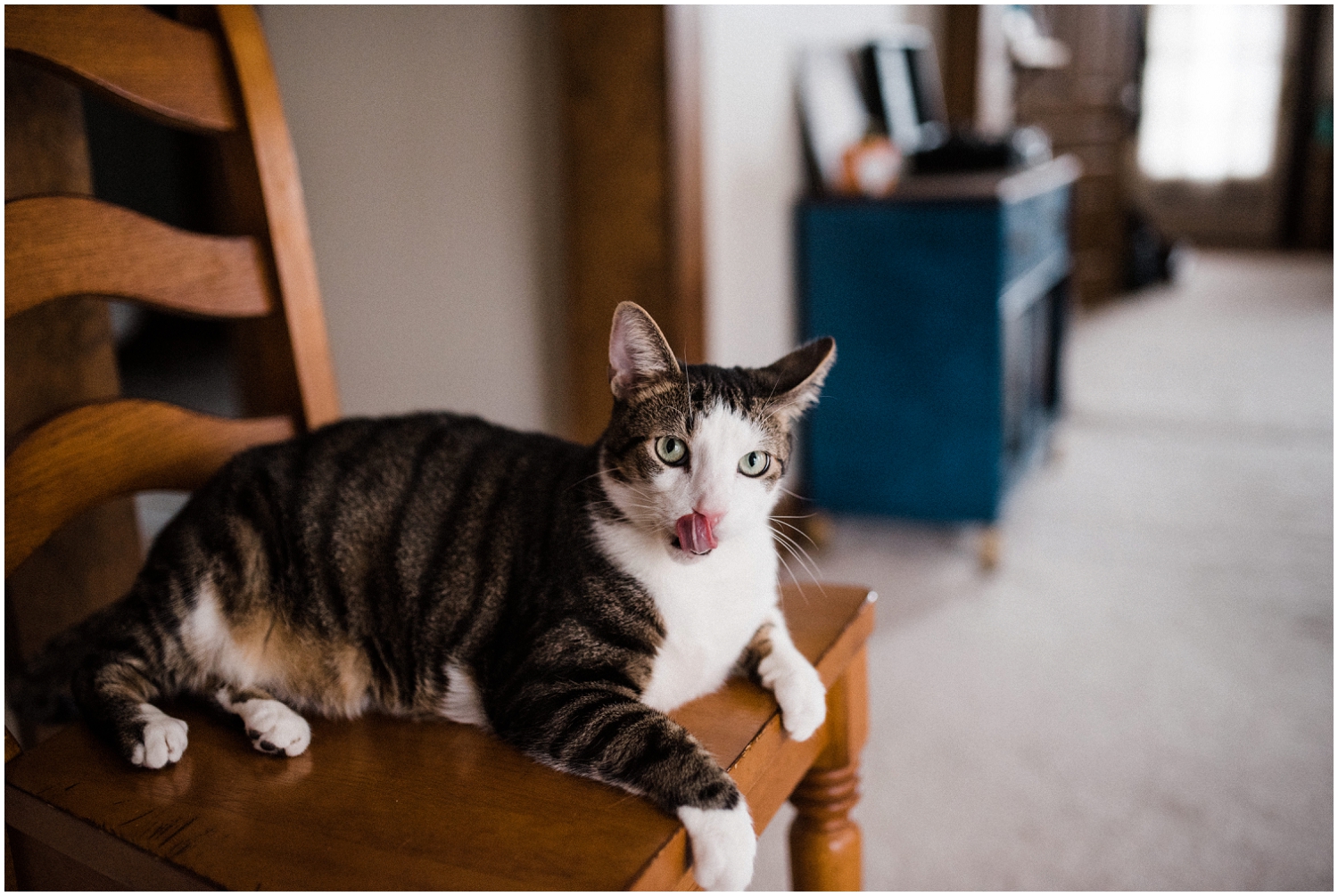 In-Home-Engagement-Session-Tipp-City-Dayton-Ohio-Wedding-Photographer-Chelsea-Hall-Photography_0041.jpg