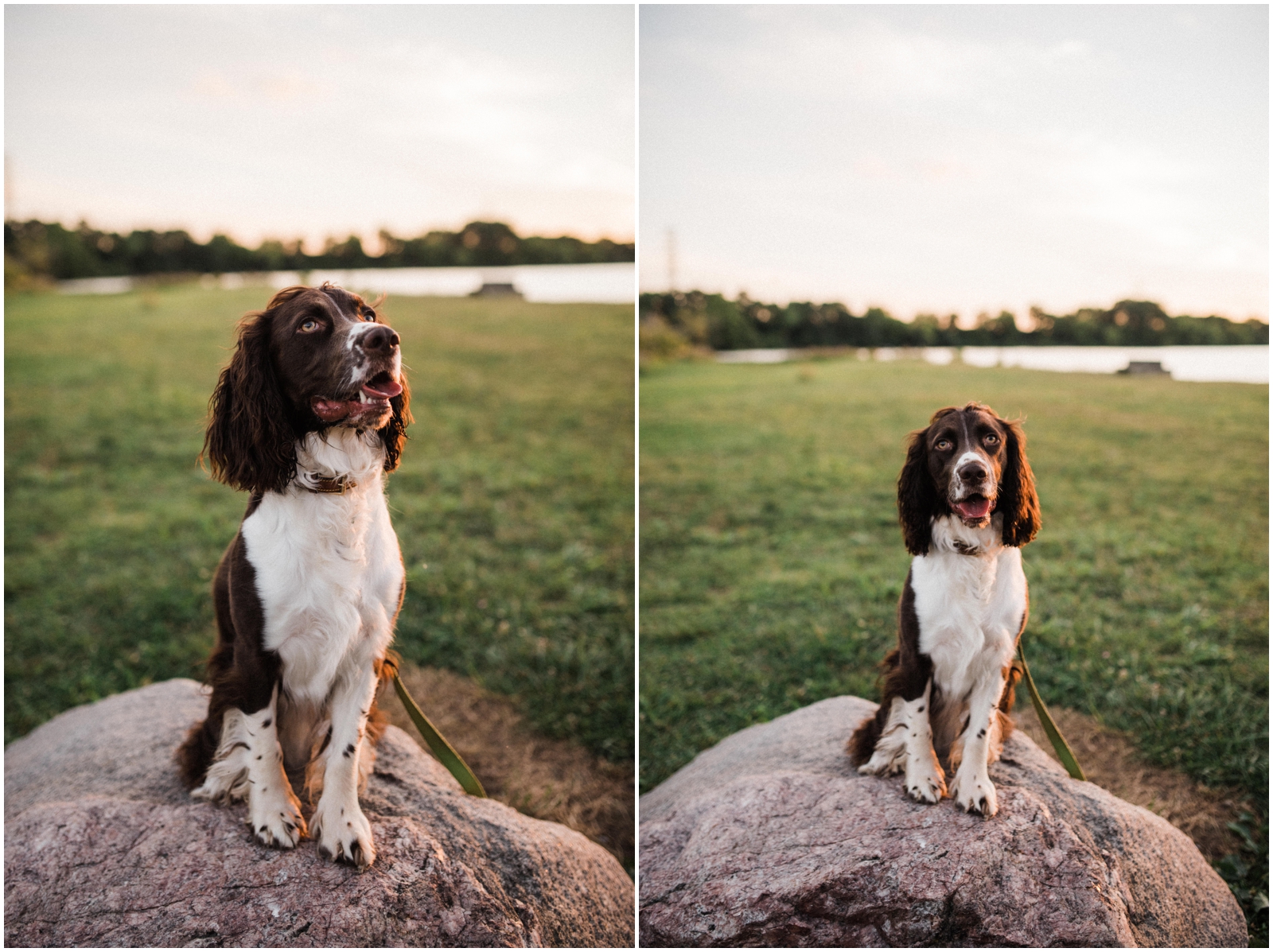 Eastwood MetroPark Anniversary Session | Dayton Portrait Photographer