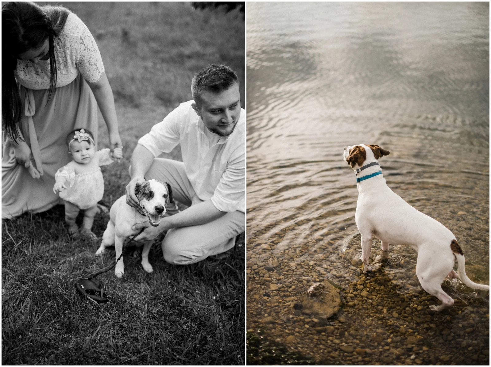 couple with their baby and puppy