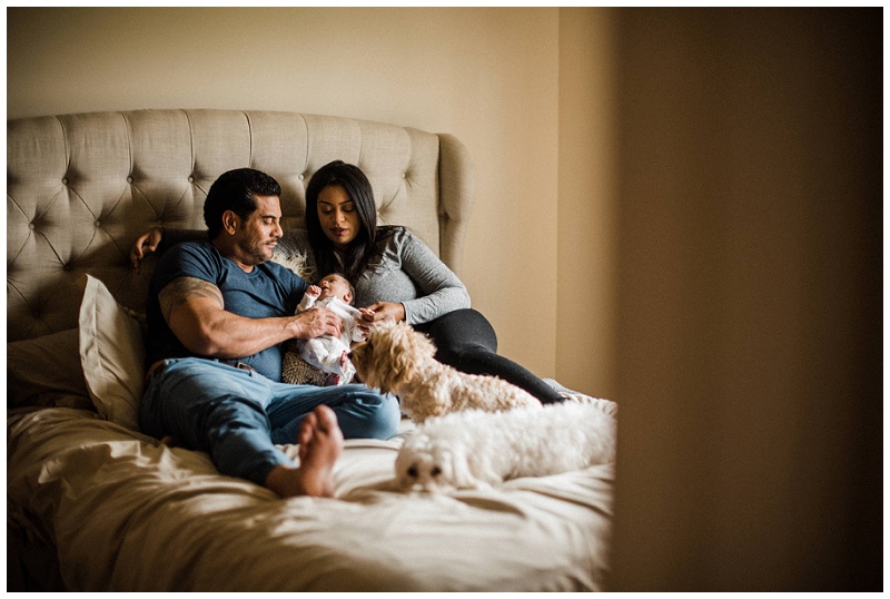Dayton, Ohio In-Home Family Portraits | Chelsea Hall Photography