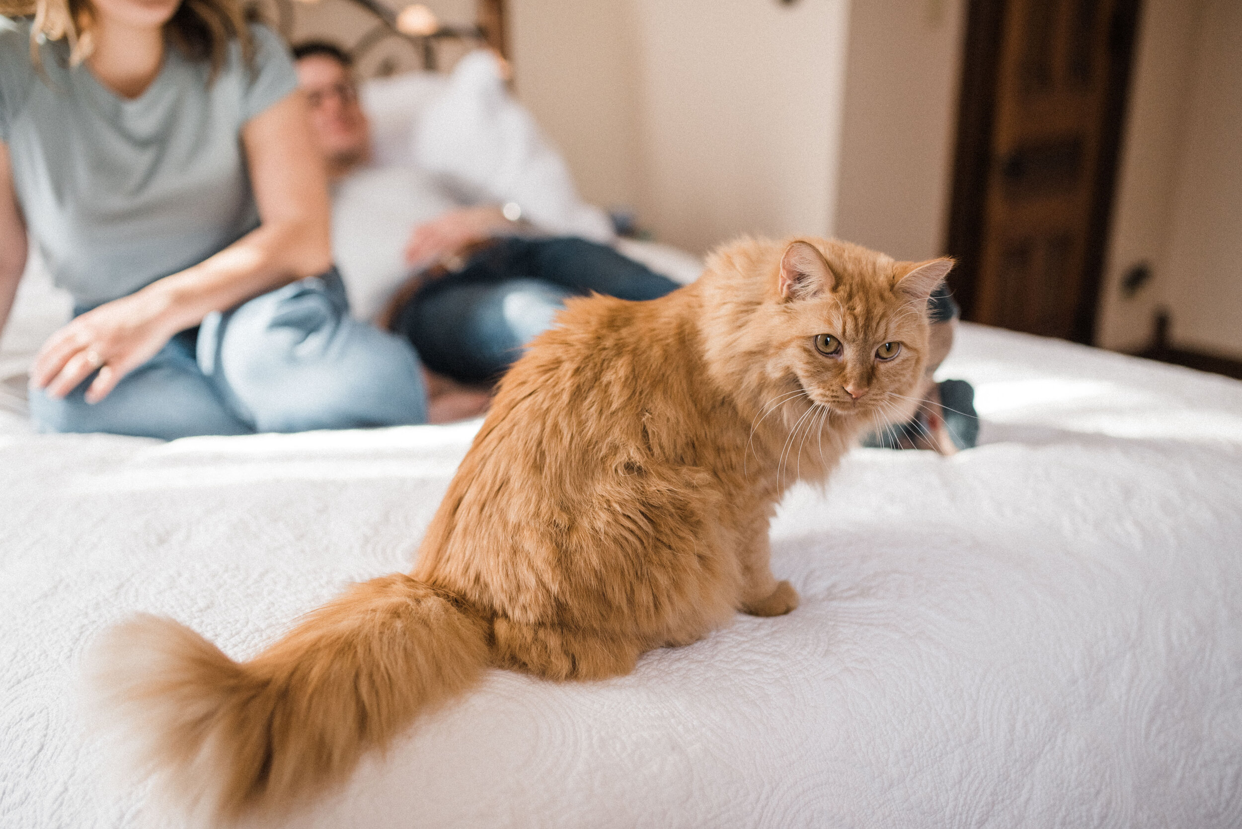 In-Home Engagement Sessions | Dayton, OH