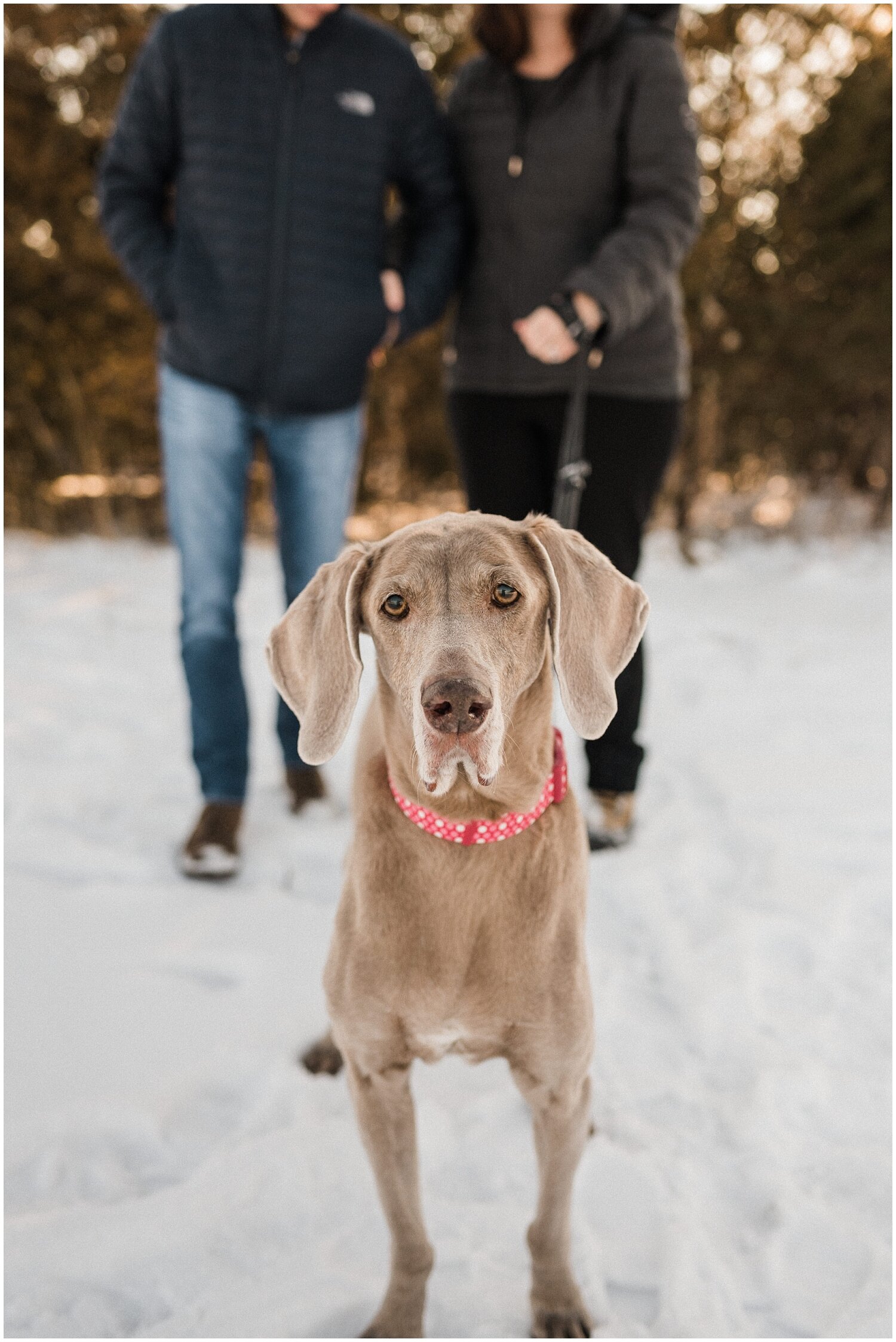 Oakes Quarry Park Family Portraits | Fairborn, Ohio