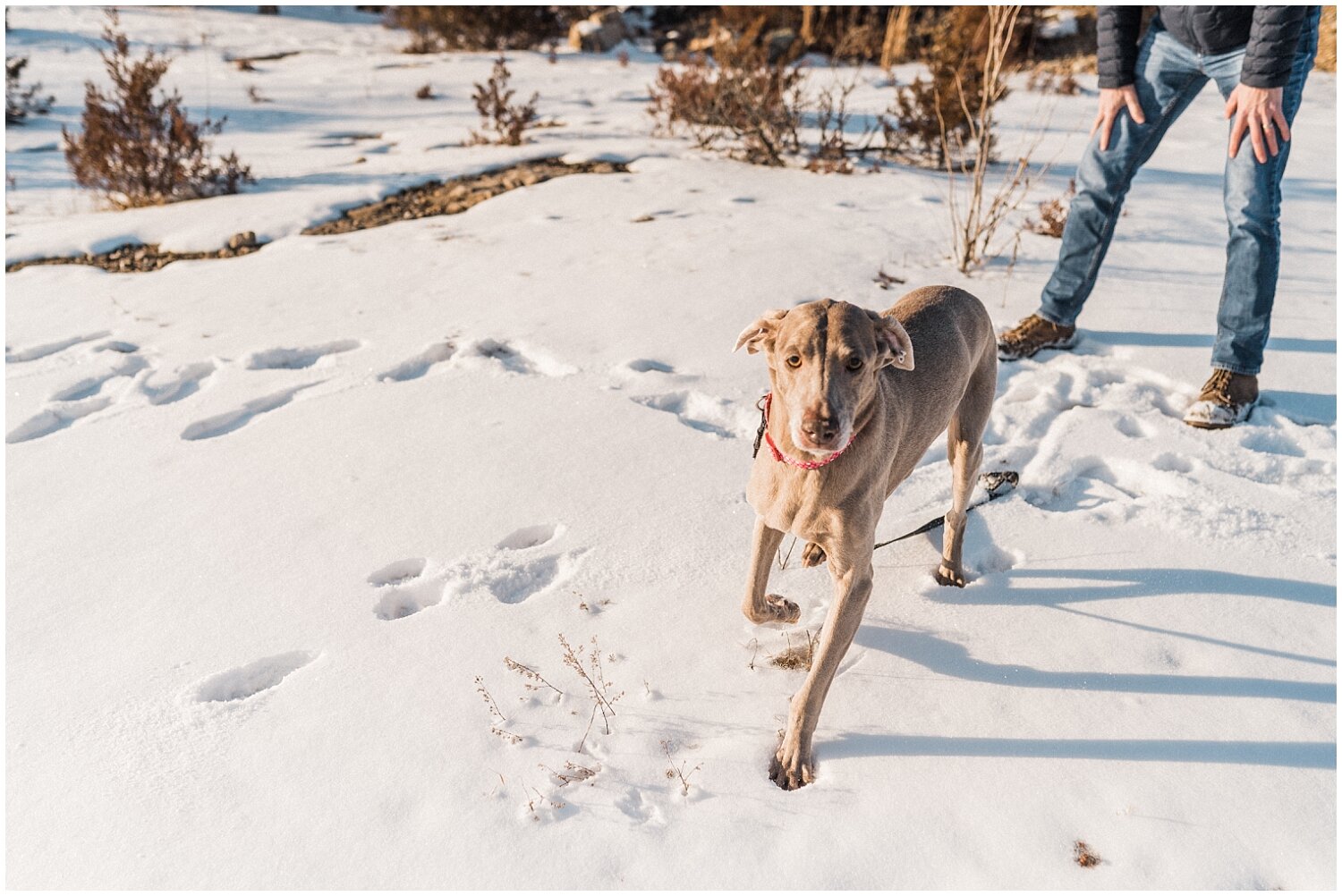 Oakes Quarry Park Family Portraits | Fairborn, Ohio