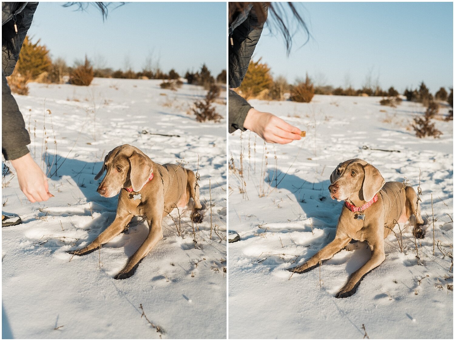 Oakes Quarry Park Family Portraits | Fairborn, Ohio