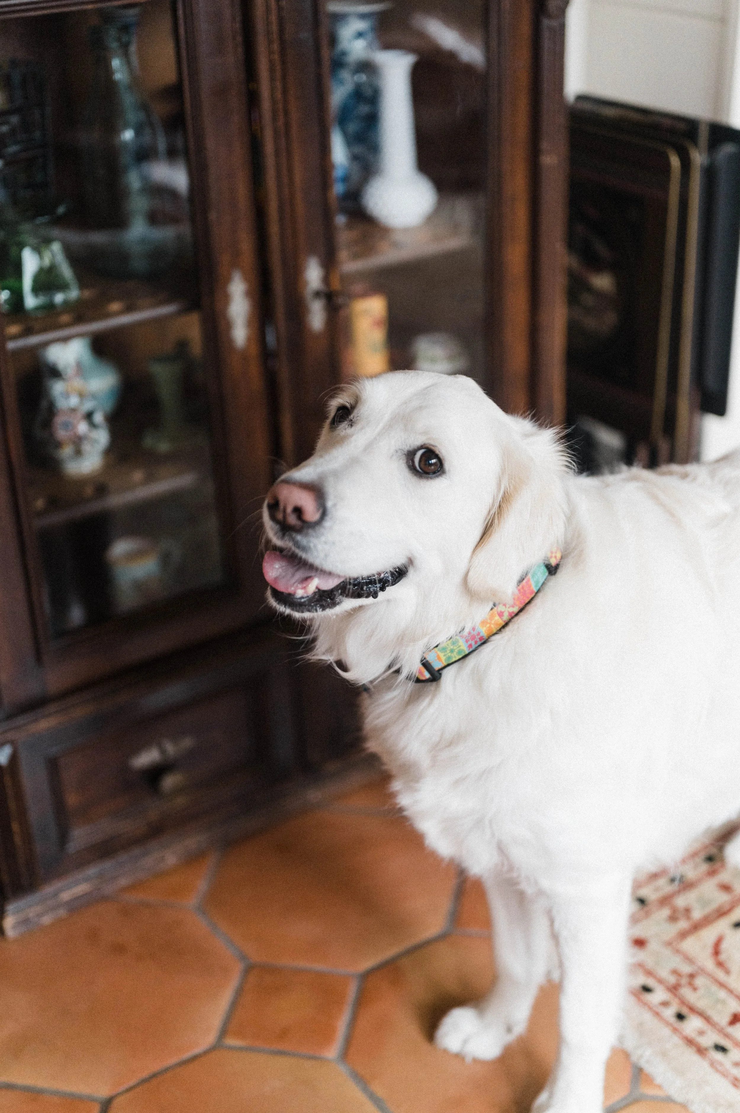 ChelseaHallPhotography-Julia&Christopher-79.jpg