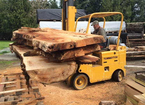 Andy is one of Trevor's wood suppliers. He collects individual trees in and around the Fraser Valley and he's helped Trevor visualize what the inside of a log will look like when the tree is opened up. Trevor and Andy spend a lot of time visiting Andy's various stashes of felled logs to find appropriately-sized pieces with the figure Trevor wants.
