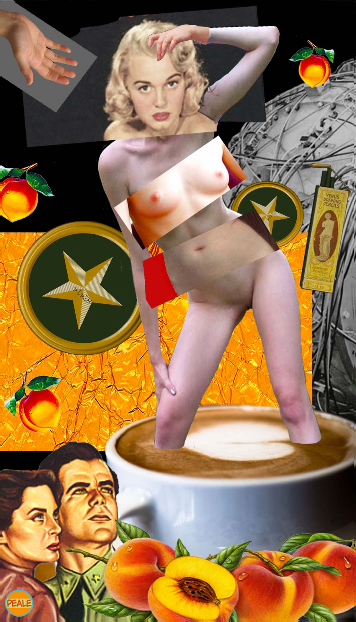 Artificial Sweetner © Charles Peale 2015