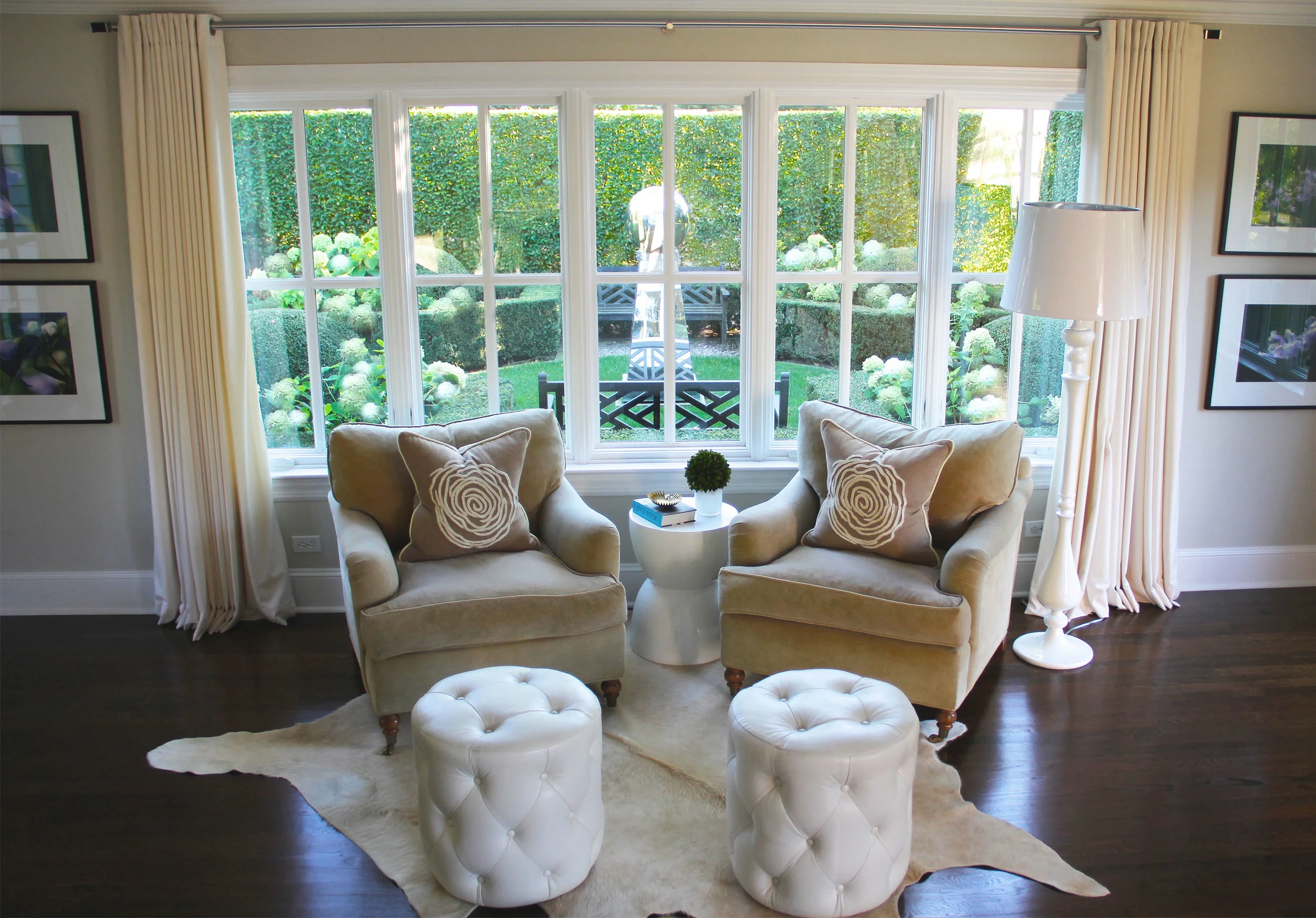 room with a view.jpg