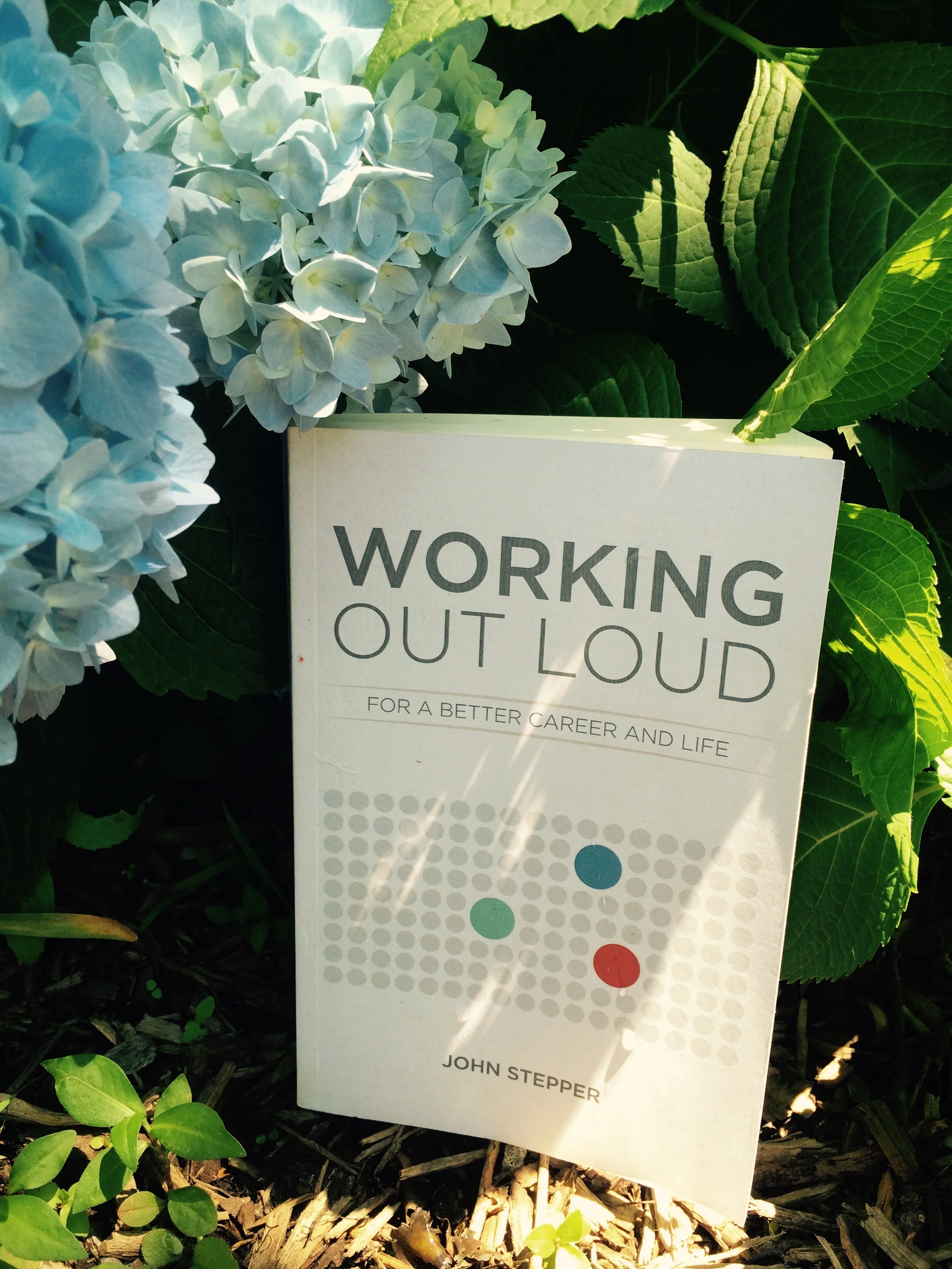 I believe this is Joyce Sullivan's garden. (She's featured in the book.)