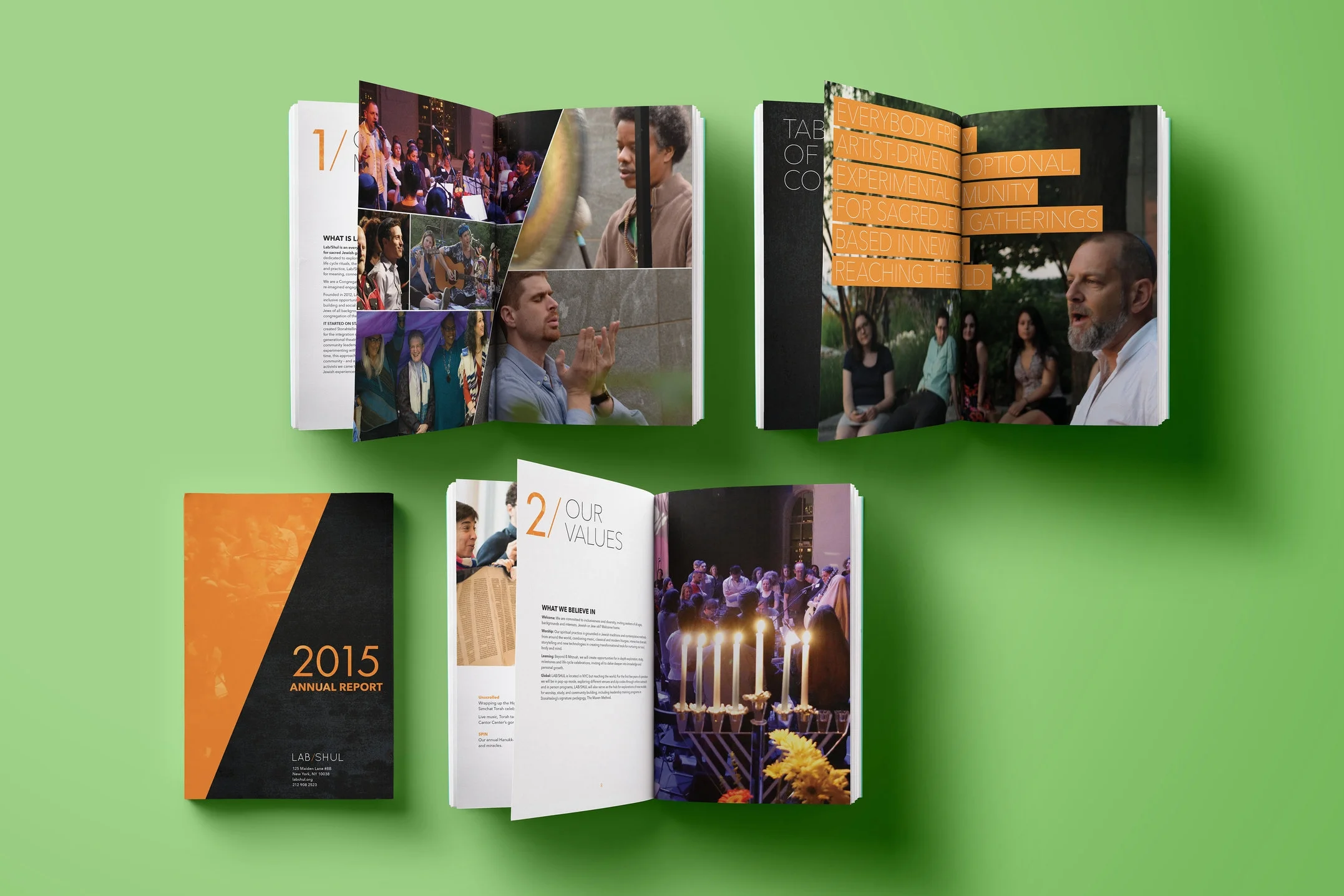 Designed the Lab/Shul's 2015 Annual Reports