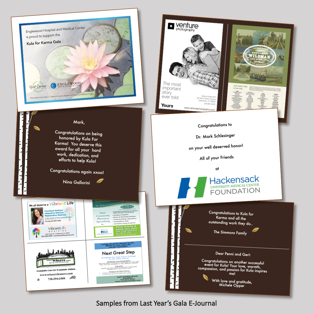 EJournal 2016 Examples.png