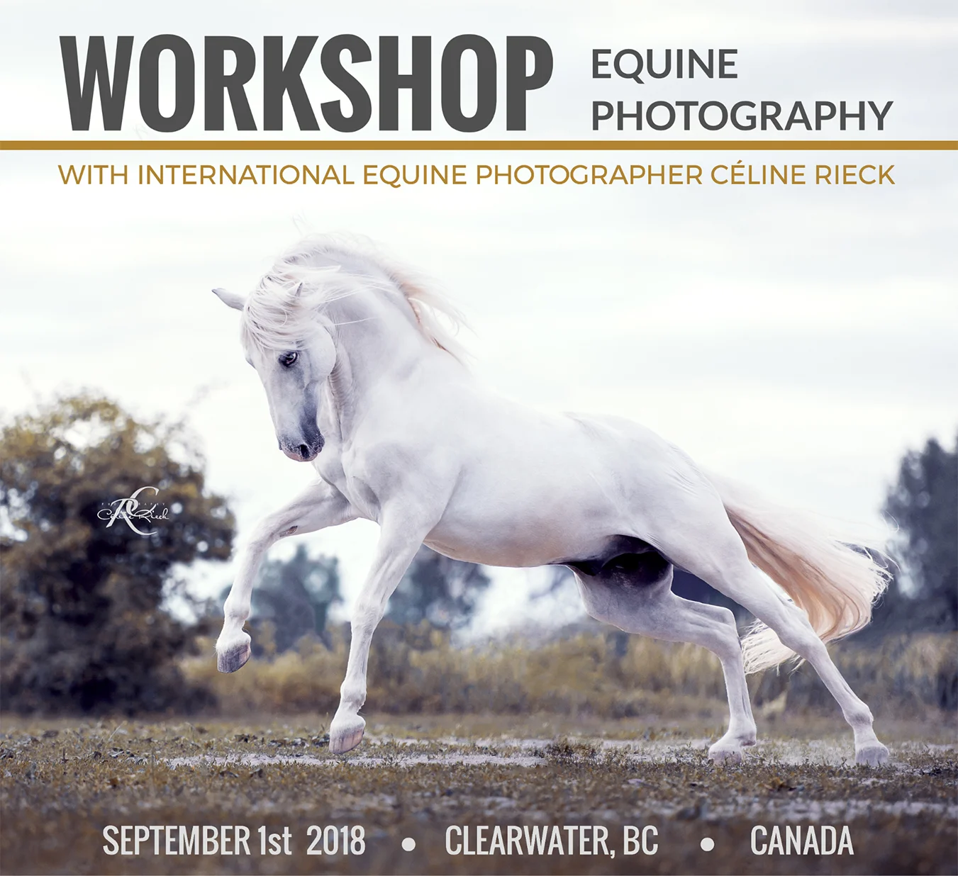 HP_Flyer_Workshop_Canada_BILD.jpg
