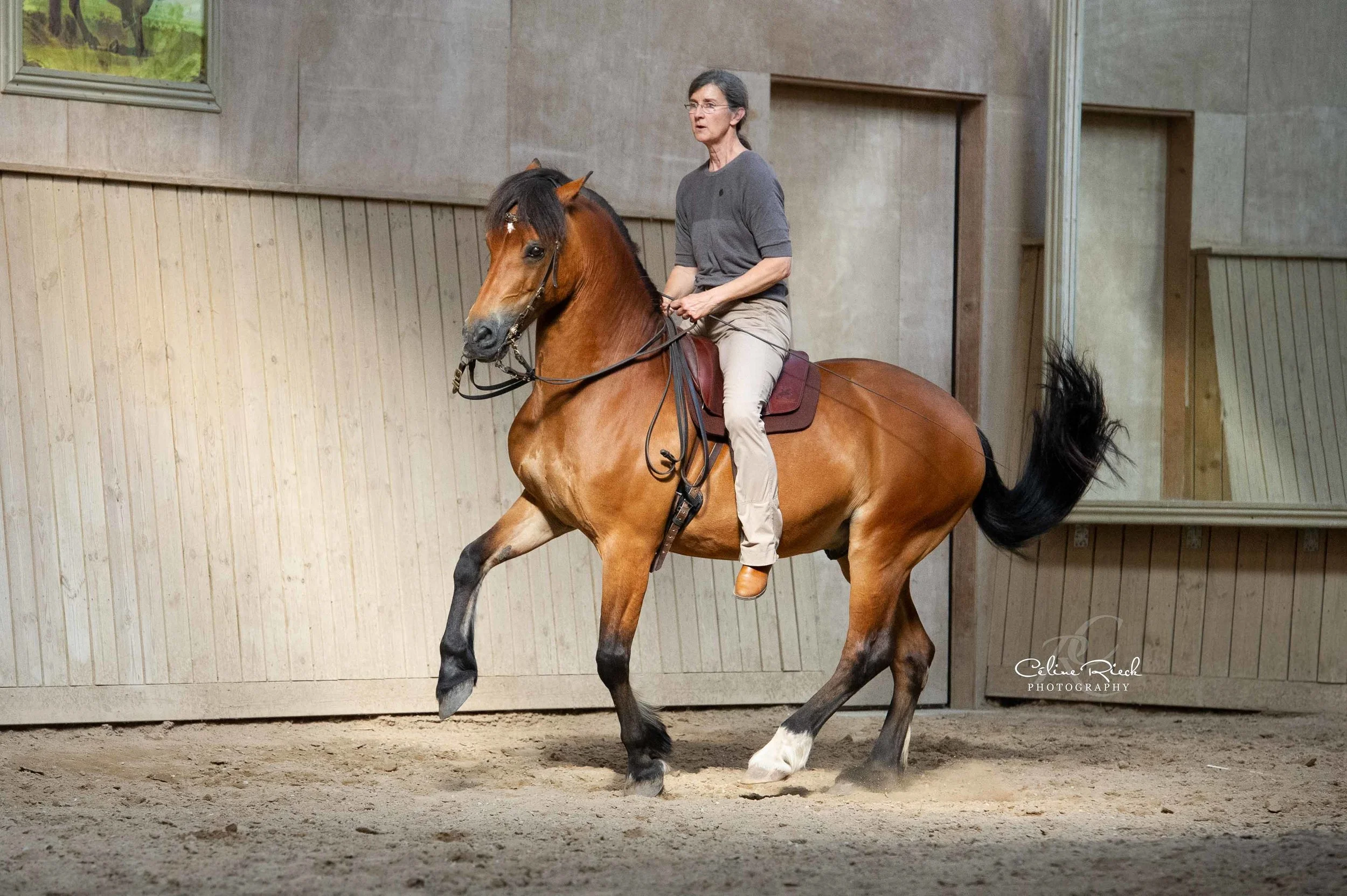 CRI_2111-20190607_UteTannous_web.jpg