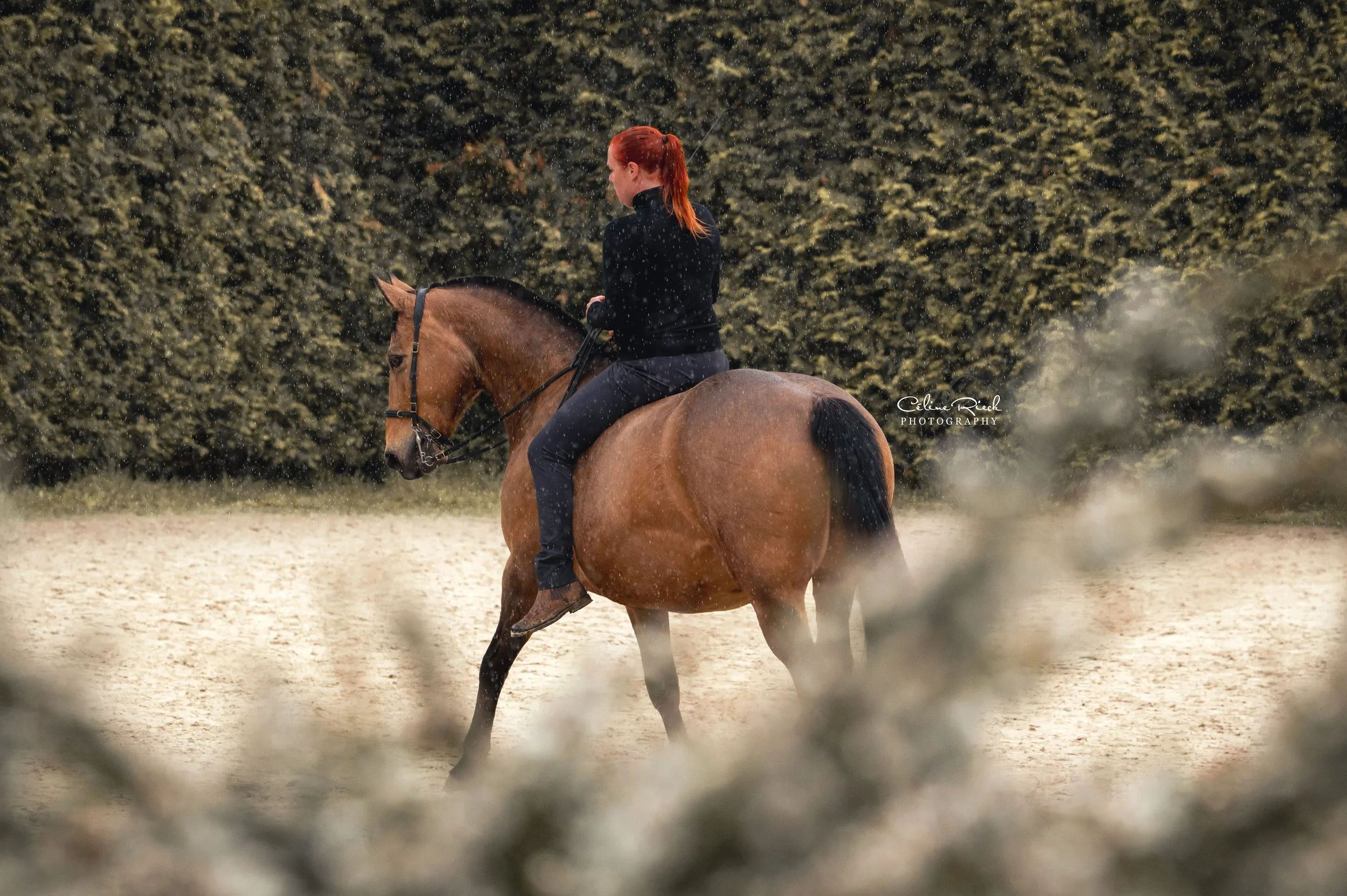 celinerieck_ZCR_2208_20260515_Anne-Katrin Zwilling_final_web.jpg